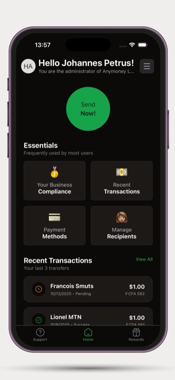 AnyMoney App Screenshot 3